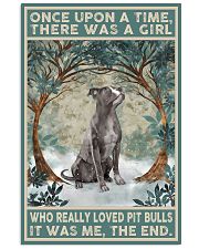 Pitbull Once Upon A Time 11x17 Poster front