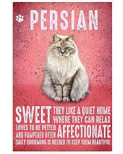 Persian Cat Vintage Poster 11x17 Poster front