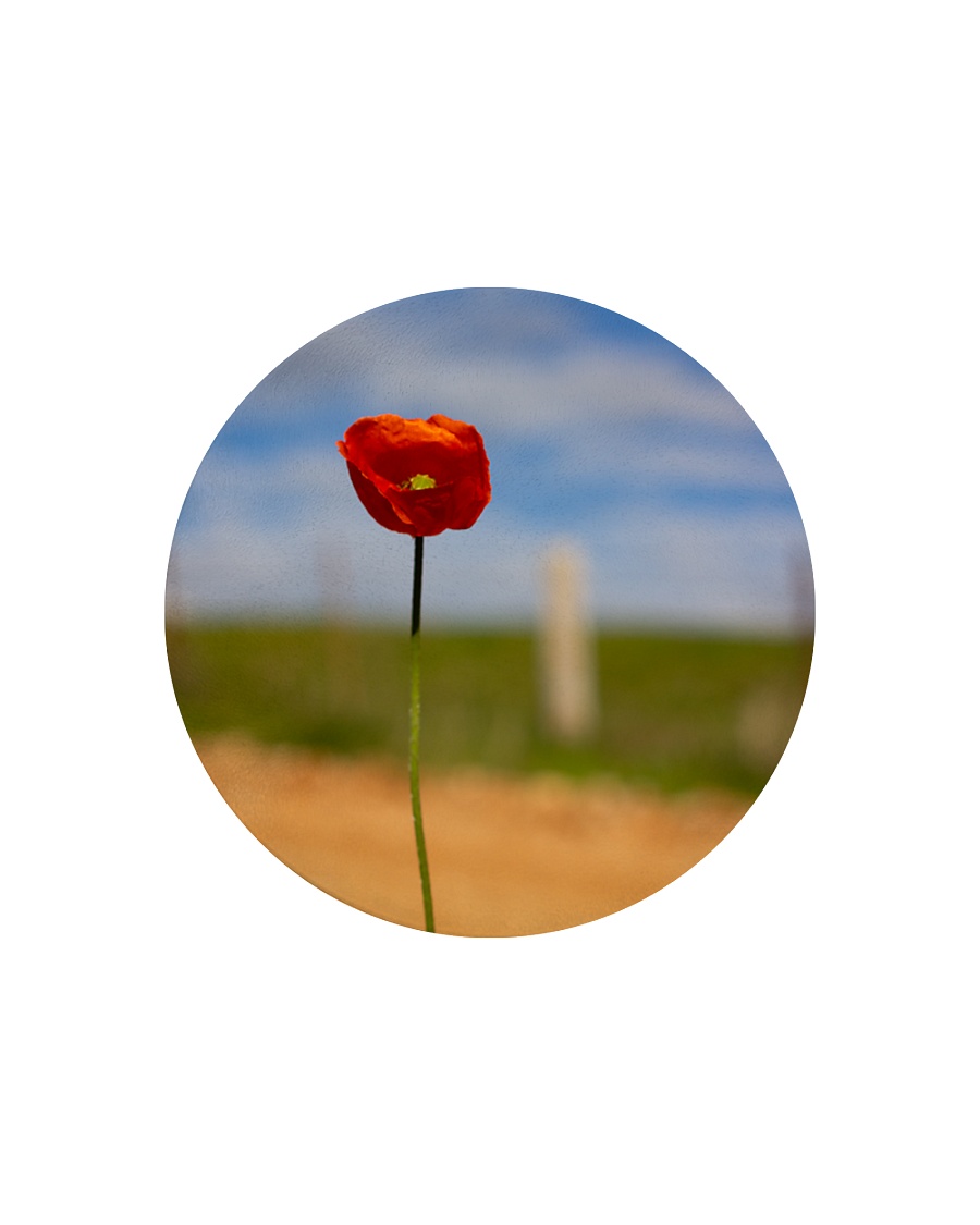 Red Poppy home Circle Cutting Board