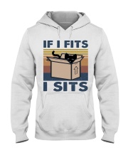 If I Fits I Sits Hooded Sweatshirt front