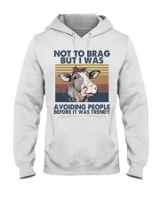 Not To Brag But I Was Hooded Sweatshirt front