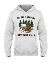 Not All Classrooms Have Four Walls Hooded Sweatshirt front