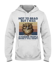 Not To Brag But I Was Hooded Sweatshirt front