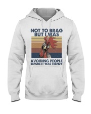 Not To Brag But I Was Hooded Sweatshirt front