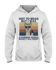 Not To Brag But I Was Hooded Sweatshirt front