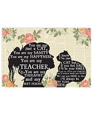 Teacher Just A Cat Poster 17x11 Poster front