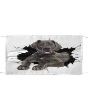 Great Dane Crack Mask tile