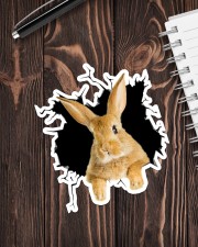 Rabbit Crack Sticker - Single (Vertical) aos-sticker-single-vertical-lifestyle-front-05