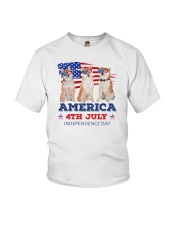 Shiba Inu 4th7 0706 Youth T-Shirt thumbnail