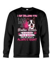 Boston Terrier Baby Crewneck Sweatshirt front