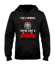 Dragon Lady 2304 Hooded Sweatshirt thumbnail