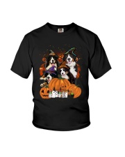 Bernese Mountain Dog Great Halloween - 03 Youth T-Shirt thumbnail