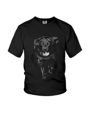 GAEA - Labrador Retriever Cool - 0809 - 44 Youth T-Shirt thumbnail
