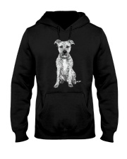 American Pit Bull Terrier Bling - 0903 Hooded Sweatshirt thumbnail