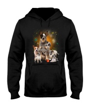 GAEA - Australian Cattle Dog Smile 0904 Hooded Sweatshirt thumbnail