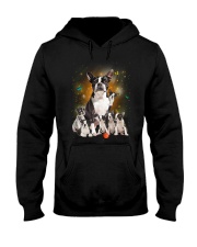 GAEA - Boston Terrier Smile 0904 Hooded Sweatshirt thumbnail