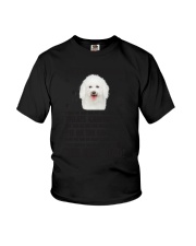 Bichon Frise Human Dad 0206 Youth T-Shirt thumbnail