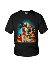Gaea - Shar Pei Halloween - 1608 - 51 Youth T-Shirt thumbnail