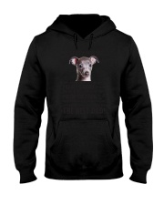 Italian Greyhound Human Dad 0206 Hooded Sweatshirt thumbnail