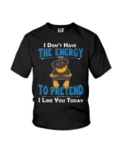 Rottweiler Energy Youth T-Shirt thumbnail
