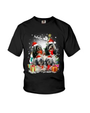 ZEUS - Tibetan Terrier Christmas - 0610 - A32 Youth T-Shirt thumbnail