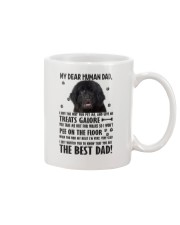 Newfoundland Human Dad 0206 Mug front