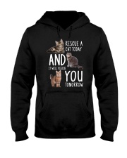 Rescue A Cat 2505 Hooded Sweatshirt thumbnail
