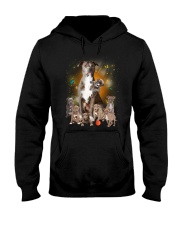 Pitbull Smile Hooded Sweatshirt thumbnail