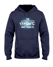 Math Teachers Hooded Sweatshirt thumbnail