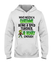 WHO NEEDS A COSTUME BEING A SPED TEACHER IS SCARY Hooded Sweatshirt thumbnail