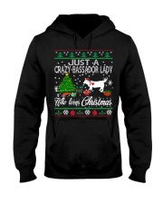 Crazy Lady Loves Bassador And Christmas Hooded Sweatshirt thumbnail