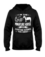 CRAZY MINIATURE HORSE LADY Hooded Sweatshirt thumbnail