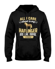All I Care About Is My Haflinger Horse Hooded Sweatshirt thumbnail