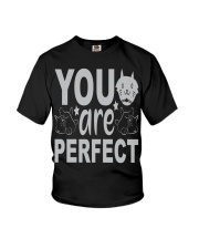 YOU ARE PERFECT Youth T-Shirt tile