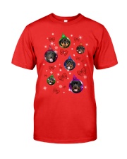 ROTTIES IN BALLS Premium Fit Mens Tee front
