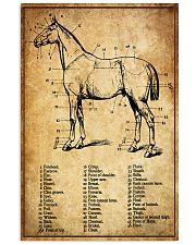 Horse Anatomy Poster 24x36 Poster front