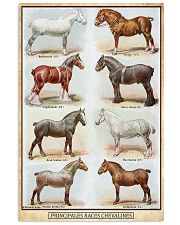 PRINCIPALES RACES CHEVALINES HORSE POSTER 24x36 Poster front