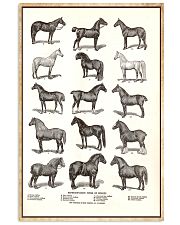 Representative Types Of Horses Poster 24x36 Poster front