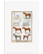 PRINCIPALES RACES CHEVALINES POSTER 24x36 Poster front