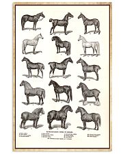 Representative Types Of Horses Poster 24x36 Poster front