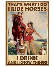 I Ride Horses I Drink 02 24x36 Poster front
