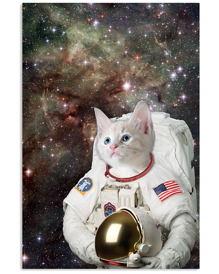 Catstronaut in Space 24x36 Poster