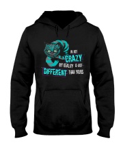 NOT SOLD IN STORES Hooded Sweatshirt thumbnail