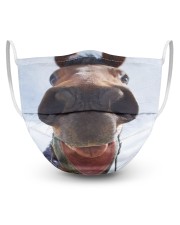 Horse Mask -1 3 Layer Face Mask - Single front