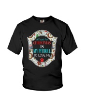 all i want for christmas is my pitbull to love me Youth T-Shirt tile