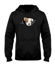 pitbull Hooded Sweatshirt tile