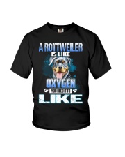 a rottweiler is like oxygen you need it to like Youth T-Shirt tile