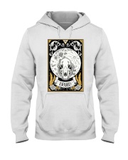 Druid Hooded Sweatshirt tile