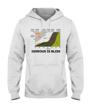 geology-igneous-is-bliss-lqt-pml Hooded Sweatshirt tile