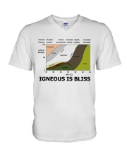 geology-igneous-is-bliss-lqt-pml V-Neck T-Shirt tile